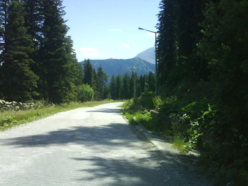 DSC02444.jpg