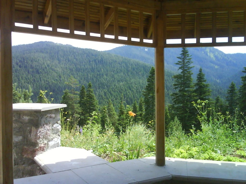 DSC02446.jpg
