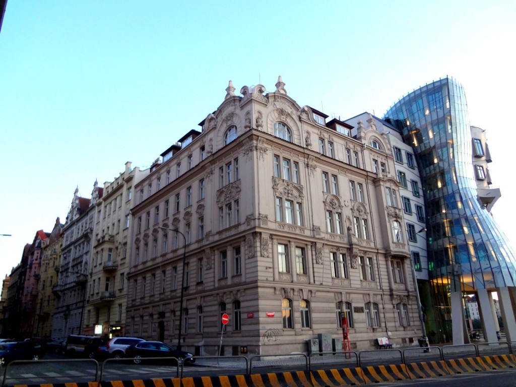 DSC02446 (Large).JPG