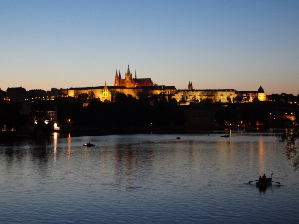 DSC02468 (Large).JPG