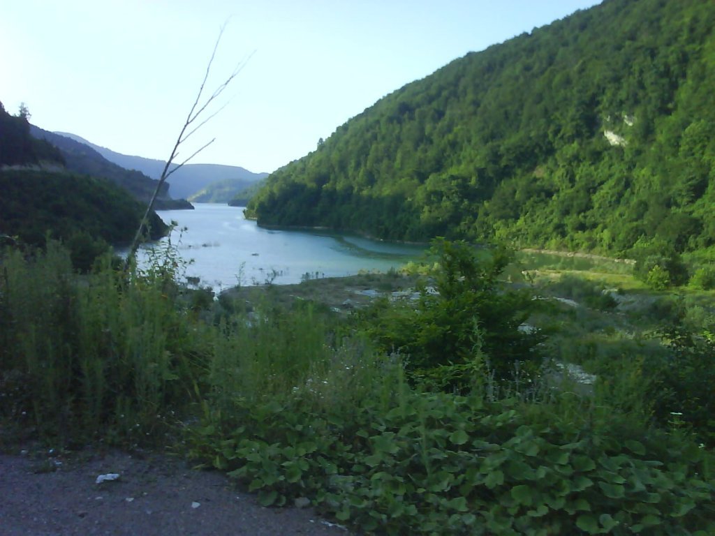 DSC02469.jpg