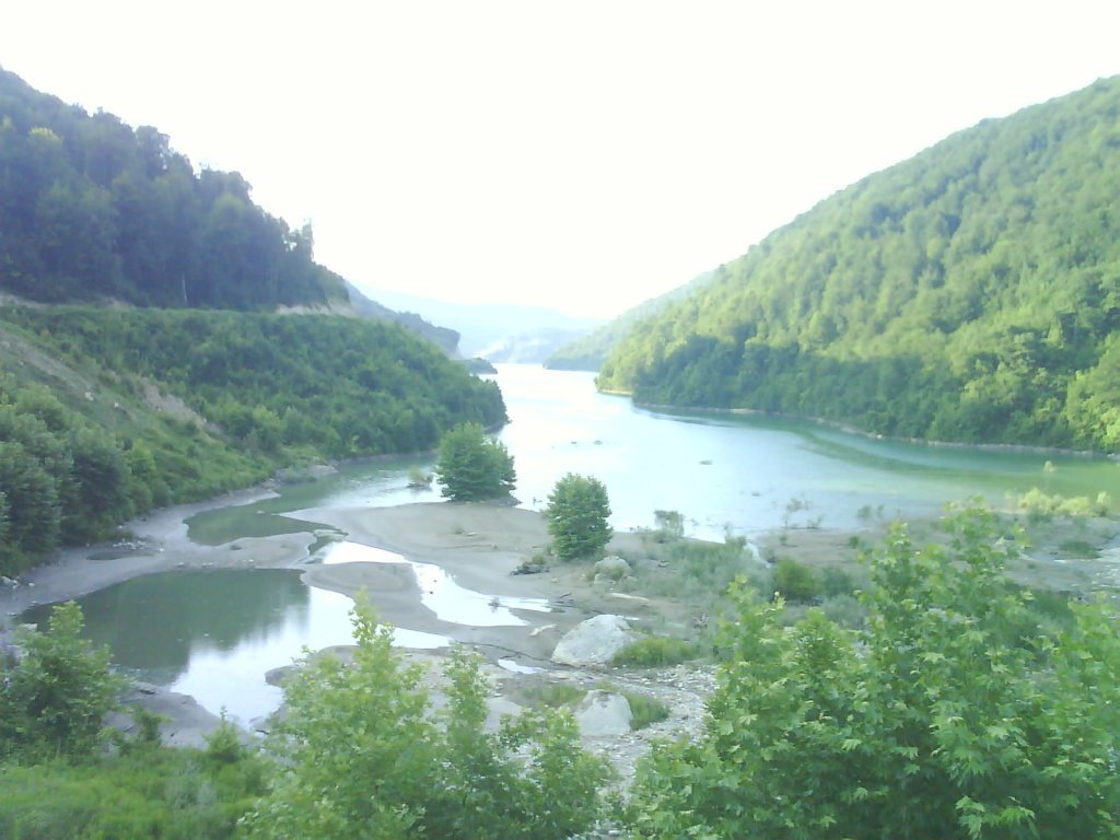 DSC02471.jpg