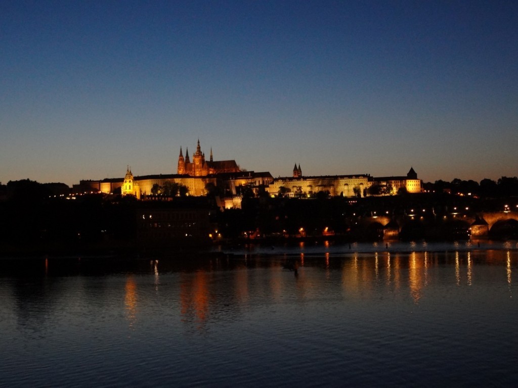DSC02478 (Large).JPG