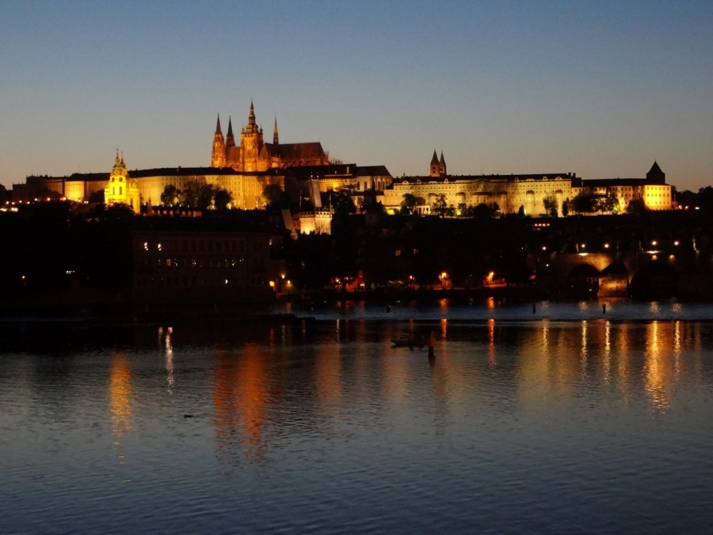 DSC02479 (Large).JPG