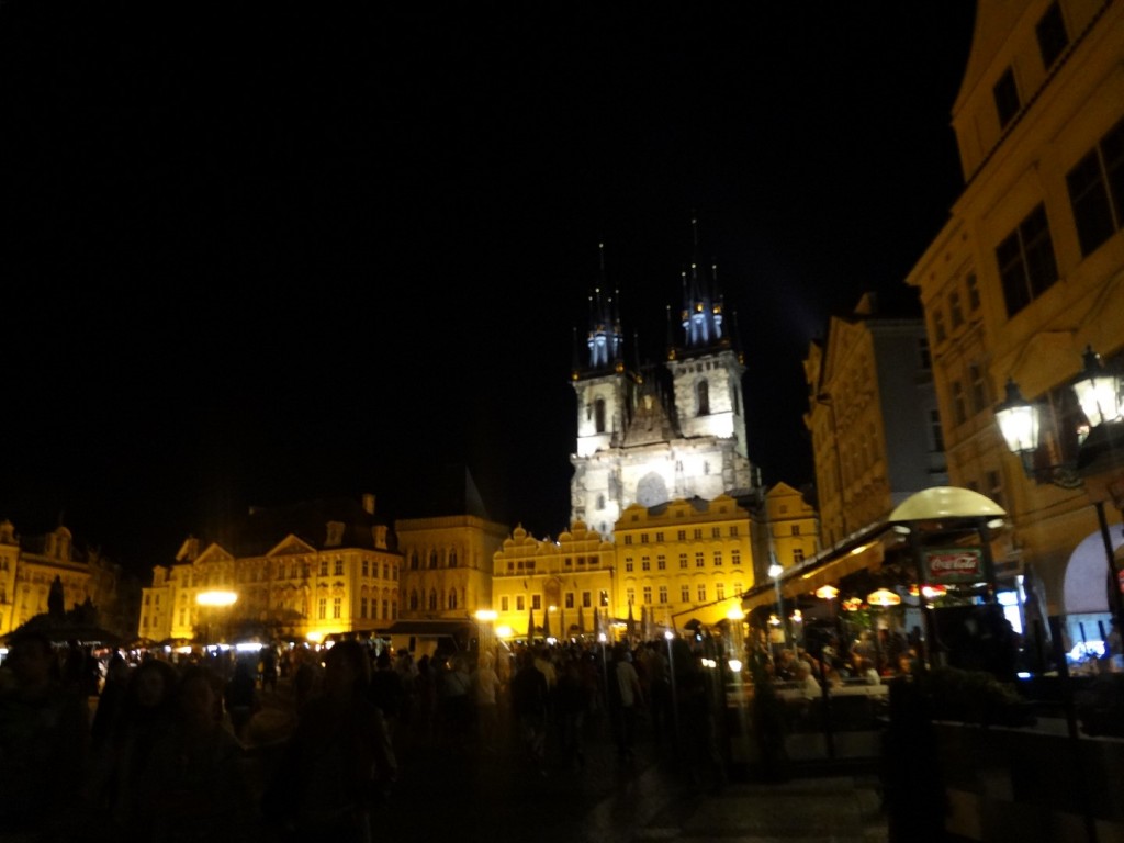 DSC02480 (Large).JPG