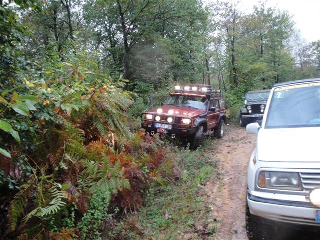 DSC02493_Medium_Small.jpg
