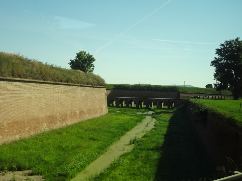 DSC02500 (Large).JPG