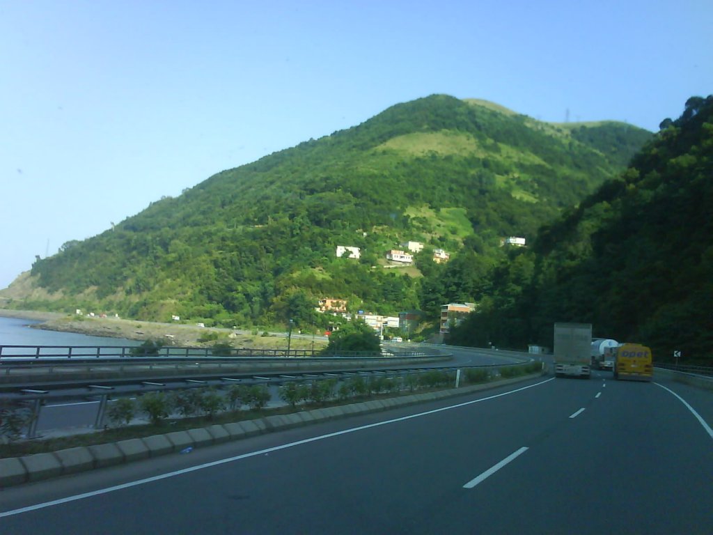 DSC02501.jpg