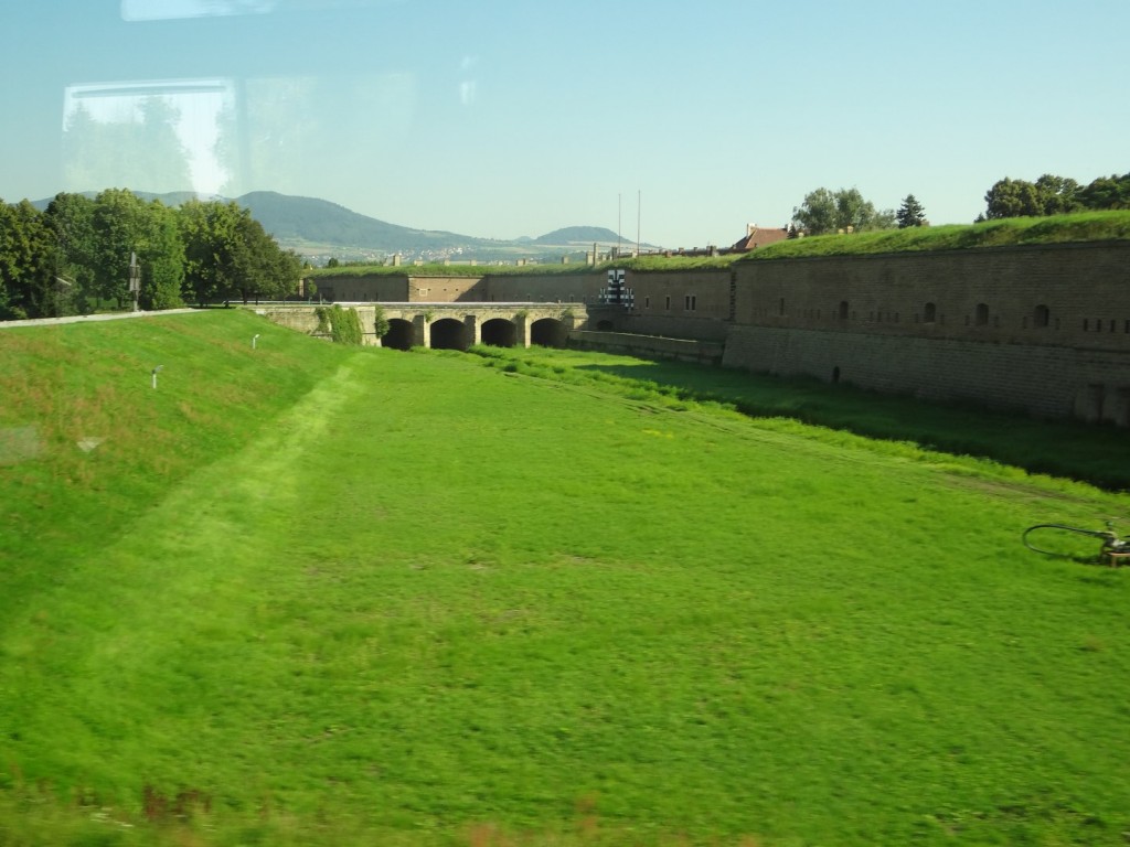 DSC02501 (Large).JPG