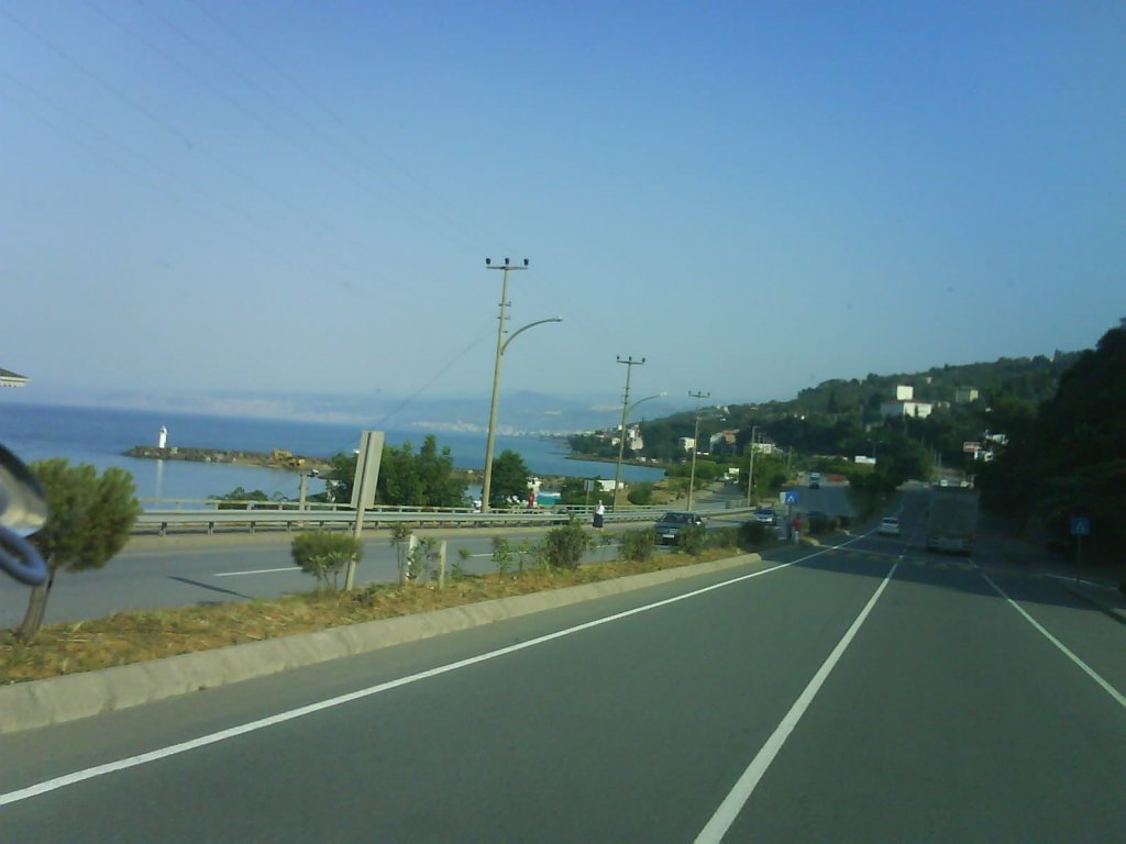 DSC02502.jpg