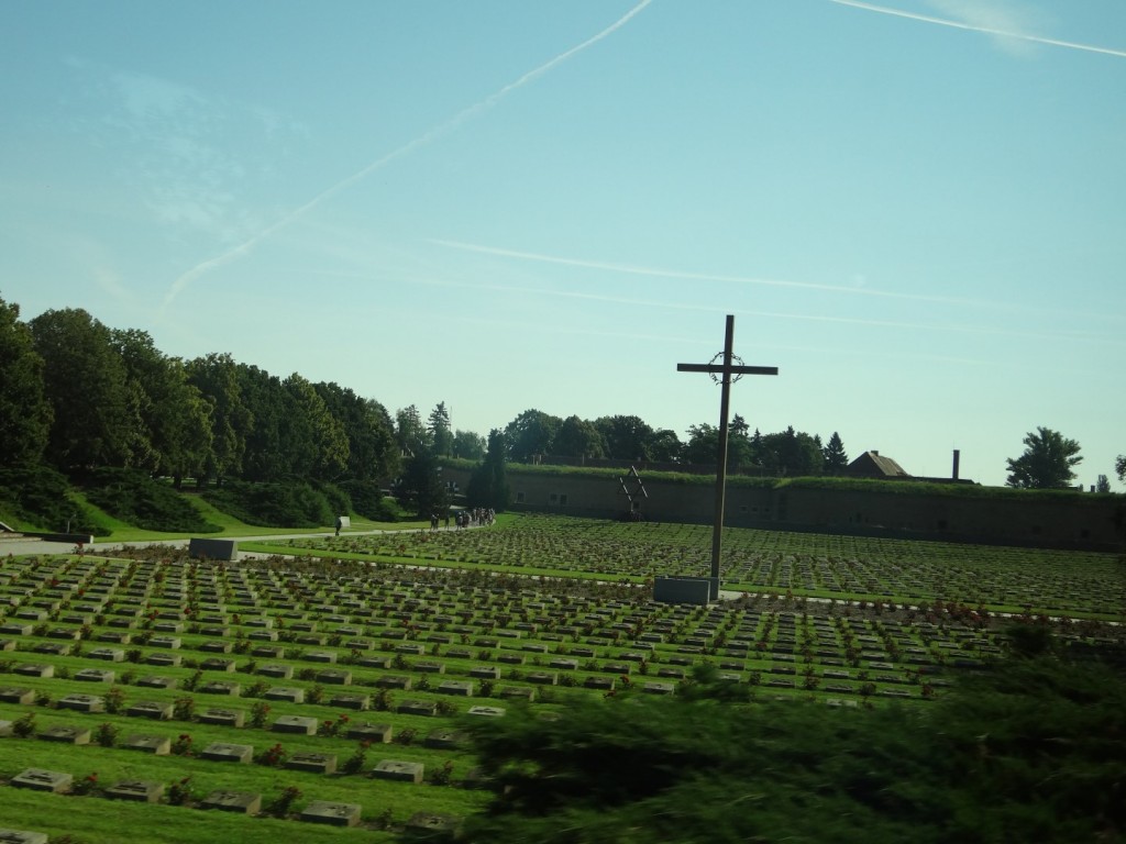 DSC02503 (Large).JPG