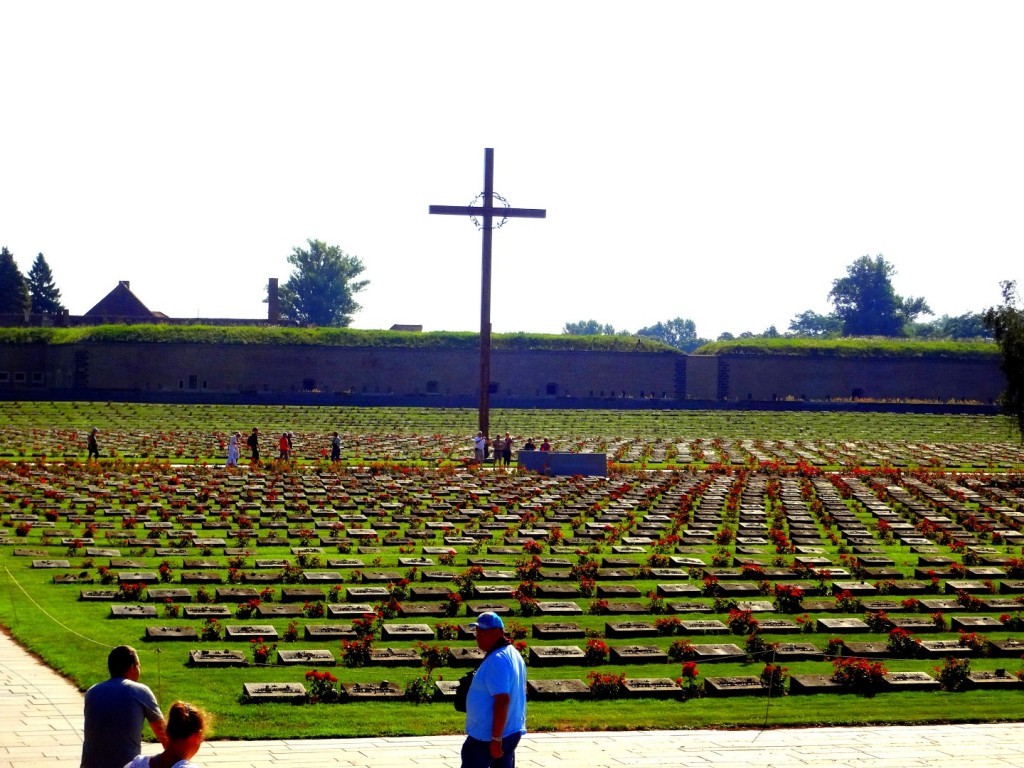 DSC02506 (Large).JPG
