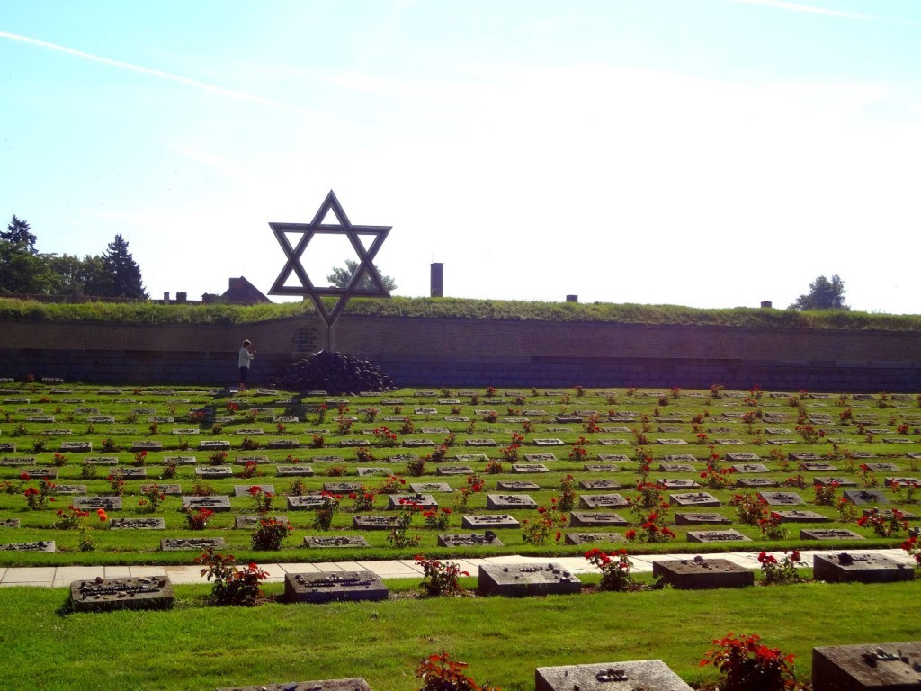 DSC02507 (Large).JPG