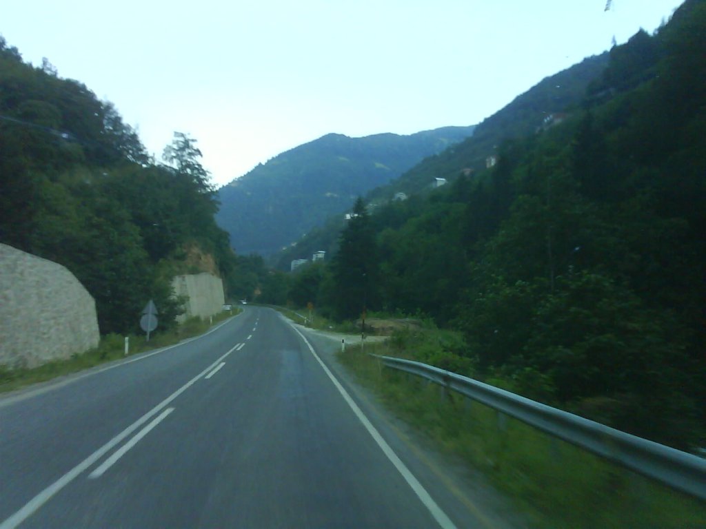 DSC02510.jpg