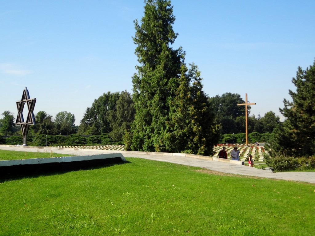 DSC02514 (Large).JPG