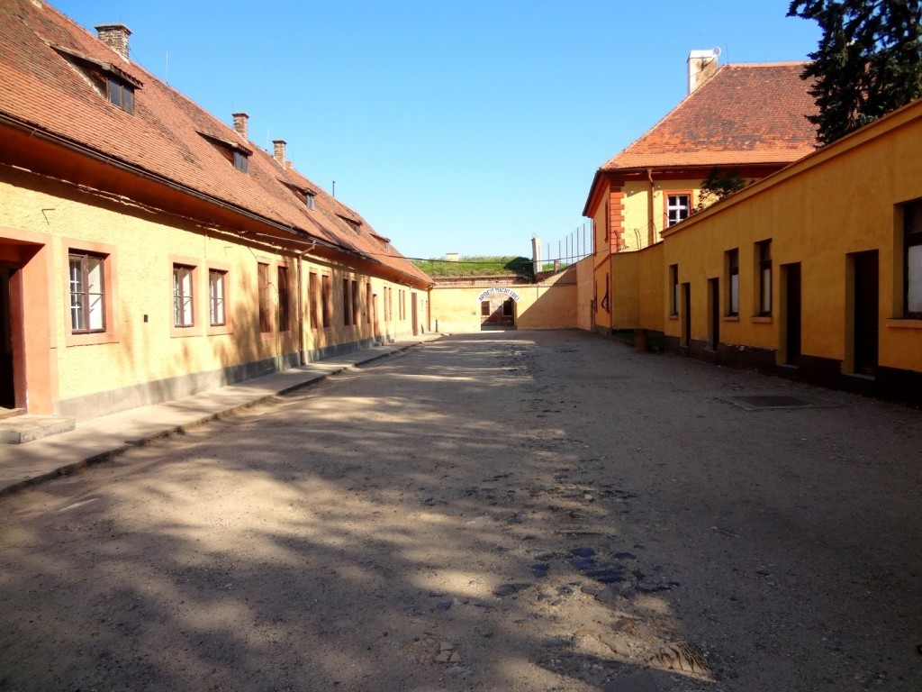 DSC02520 (Large).JPG