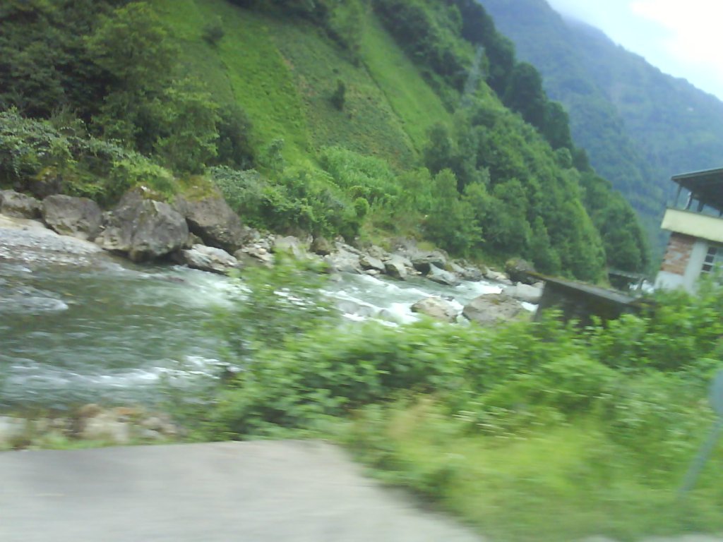 DSC02525.jpg
