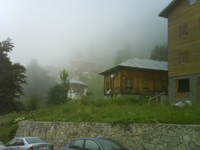 DSC02535.JPG