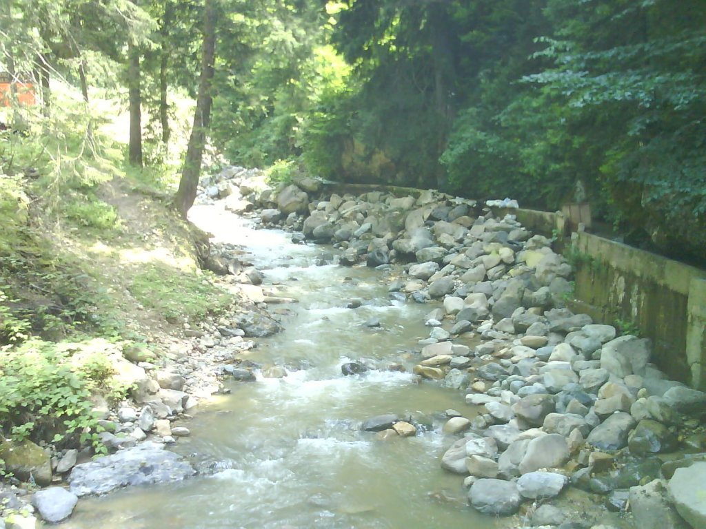 DSC02579.jpg