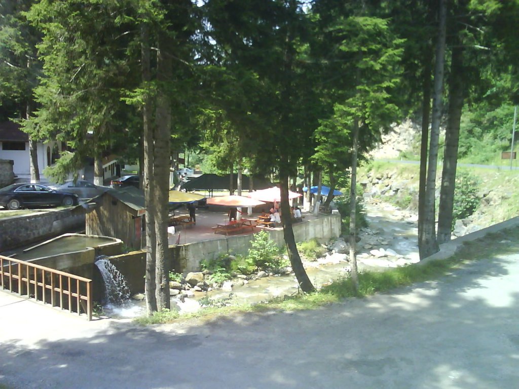 DSC02580.jpg