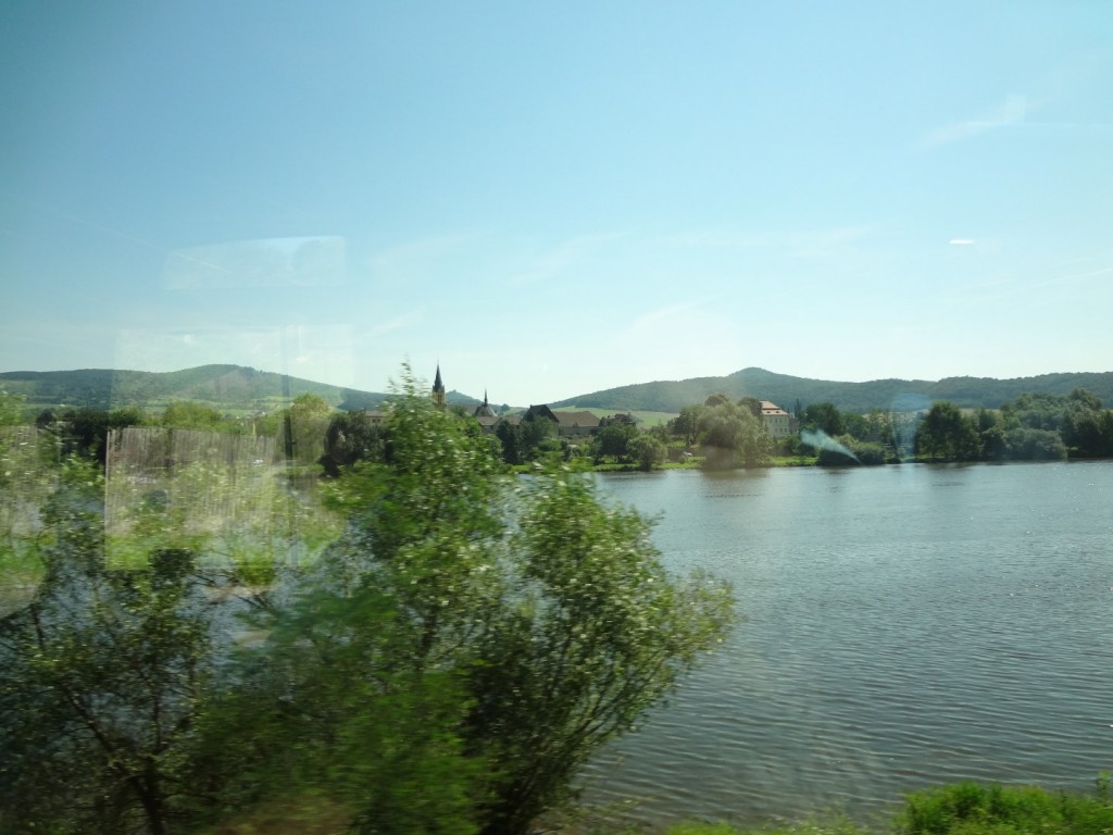 DSC02581 (Large).JPG