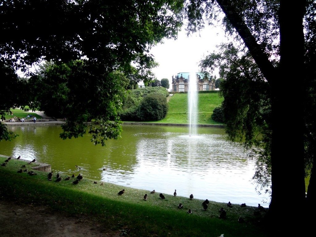 DSC02611 (Large).JPG