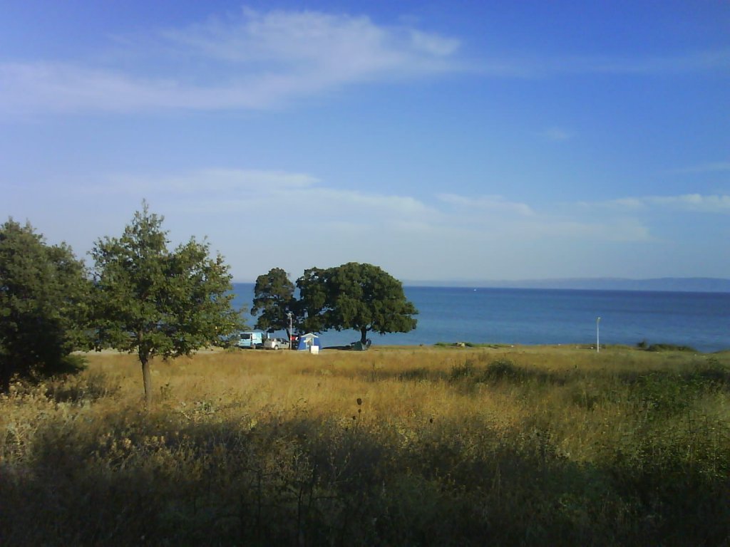 DSC02622.jpg