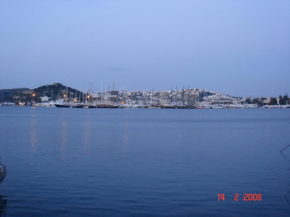 DSC02636.jpg