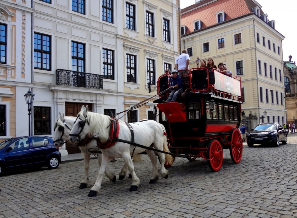DSC02636 (Large).JPG