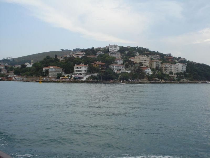 DSC02642.jpg