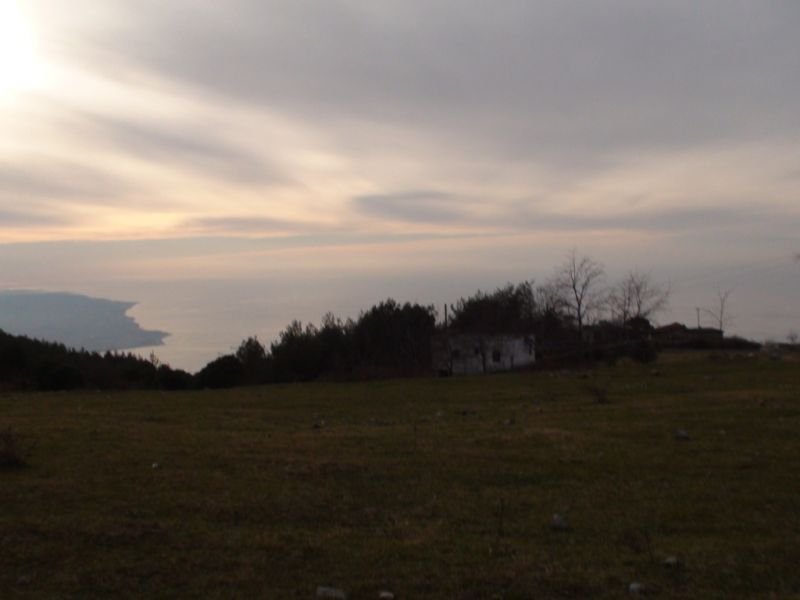 DSC02644.jpg