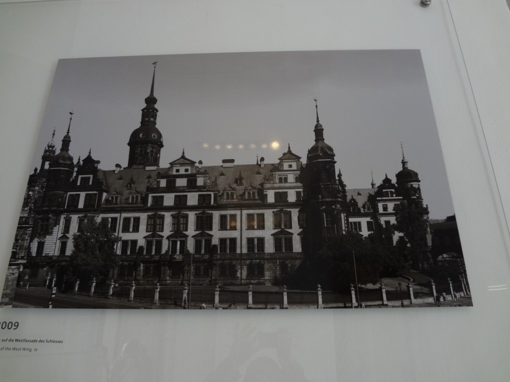 DSC02645 (Large).JPG