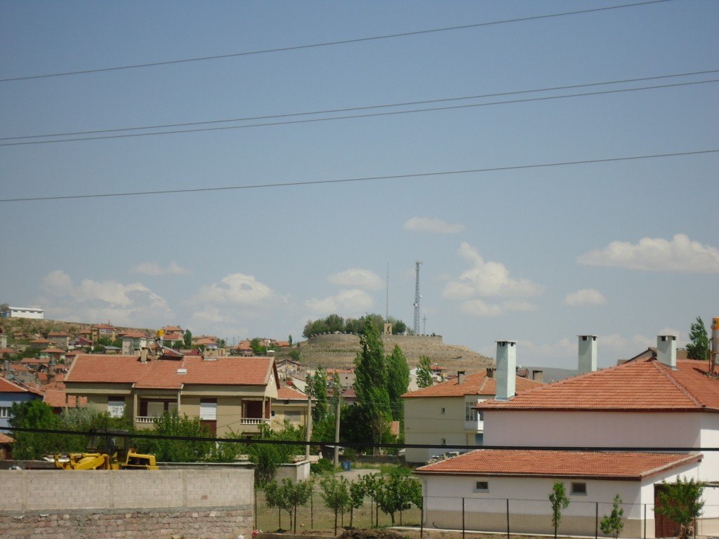 DSC02679.JPG