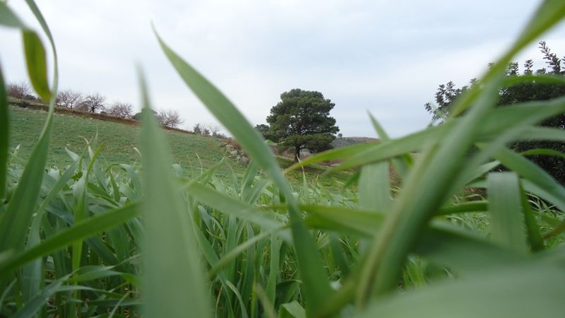 DSC02684.jpg