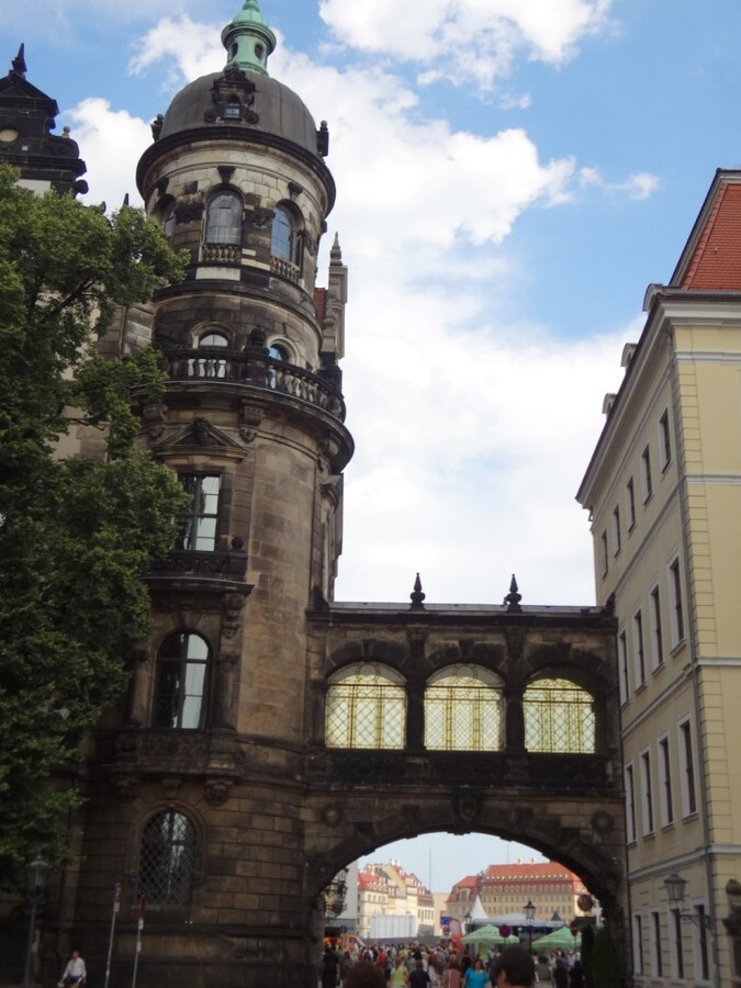 DSC02694 (Large).JPG