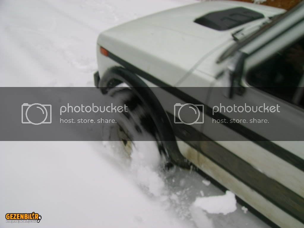 DSC02730.jpg