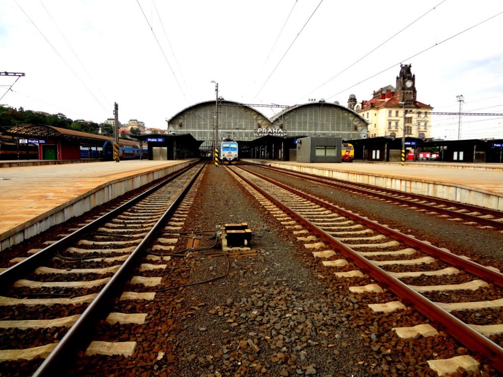 DSC02738 (Large).JPG