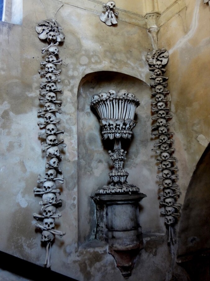 DSC02756 (Large).JPG