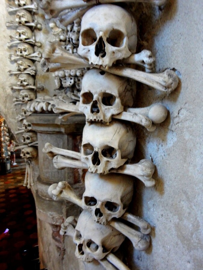 DSC02757 (Large).JPG