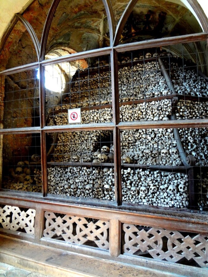 DSC02765 (Large).jpg