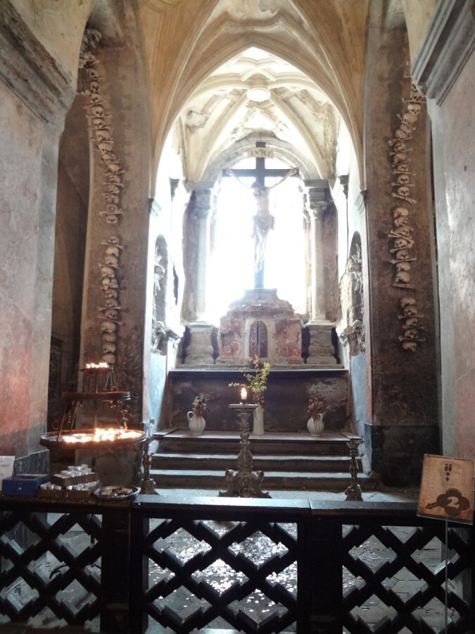 DSC02770 (Large).JPG