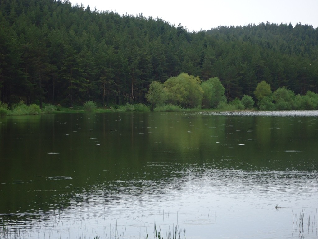 DSC02776.JPG