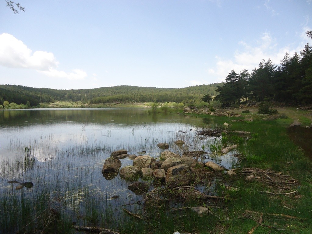 DSC02777.JPG