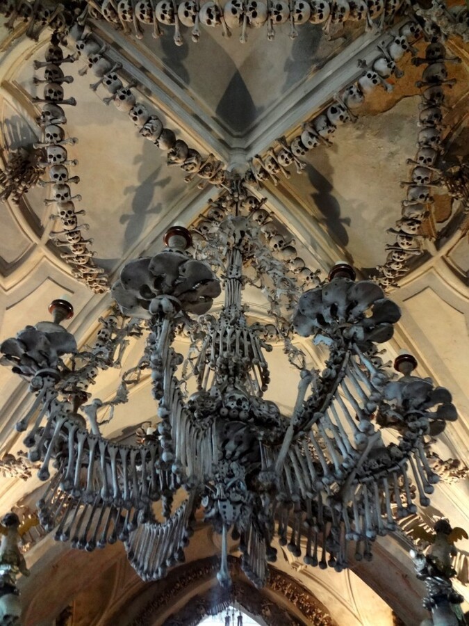 DSC02778 (Large).JPG