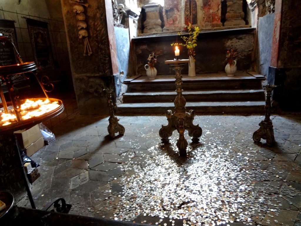 DSC02779 (Large).JPG