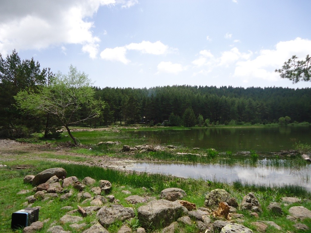 DSC02781.JPG