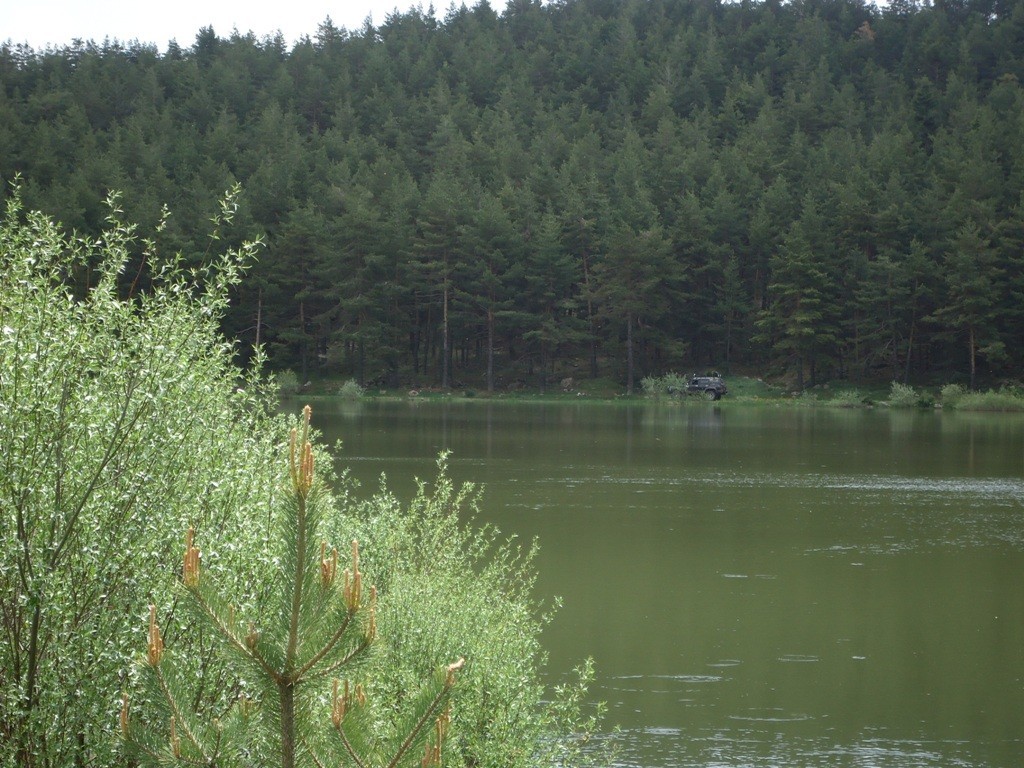 DSC02795.JPG