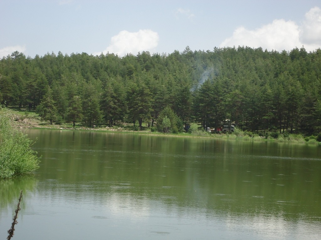 DSC02799.JPG