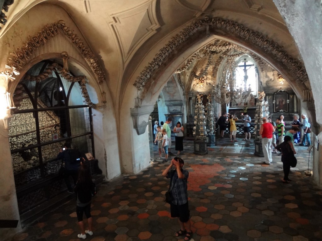DSC02799 (Large).JPG
