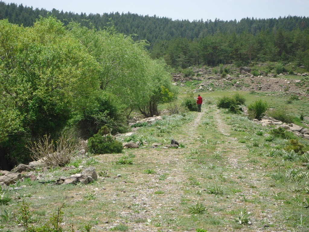 DSC02800.JPG